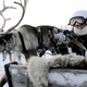 Illustration for article titled Russian Soldiers Go Native For Arctic Ops Using Reindeer And Dogsleds